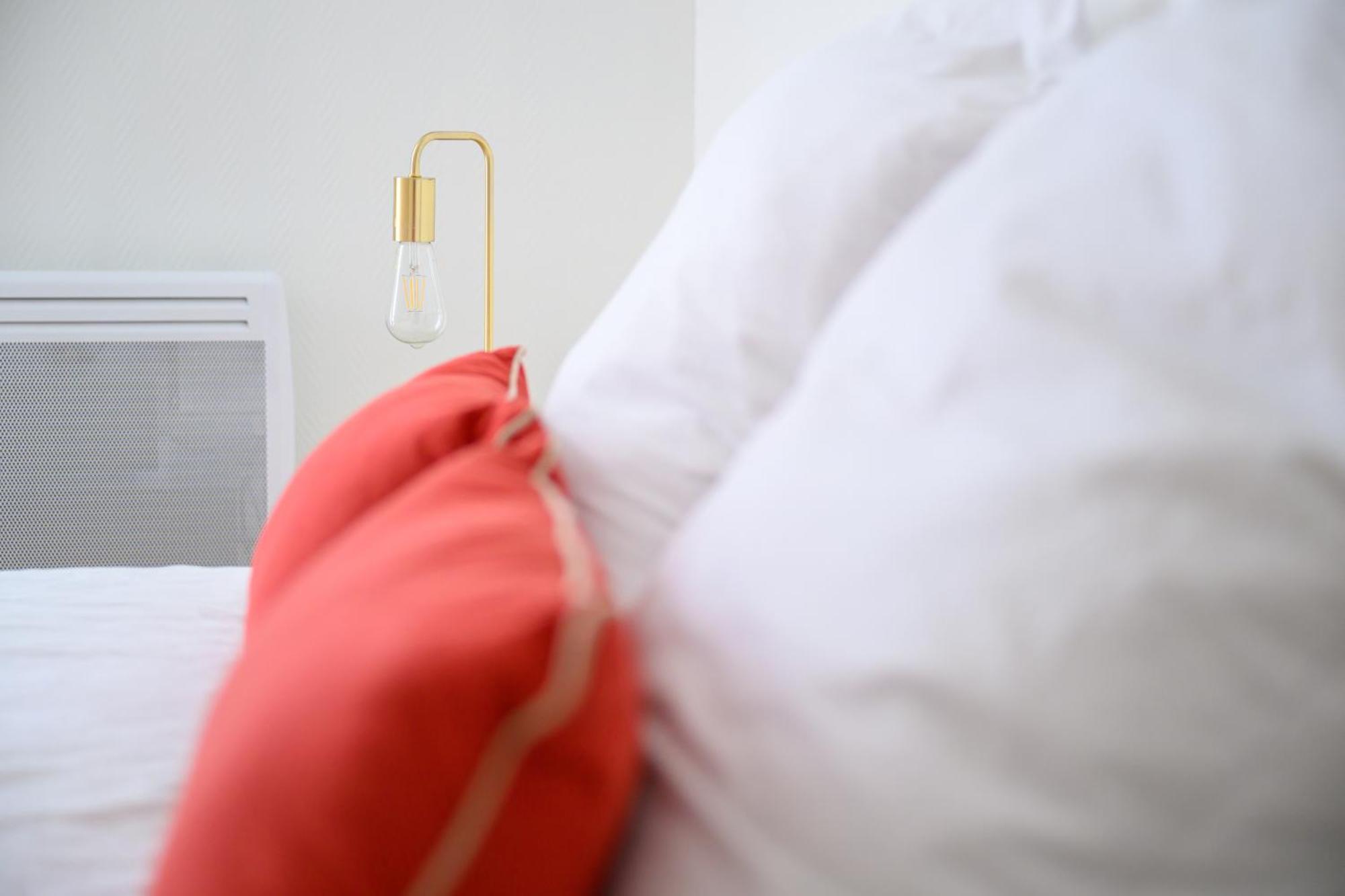 Grand Appartement Avec Balcon Hyper - Centre Tarbes Eksteriør bilde